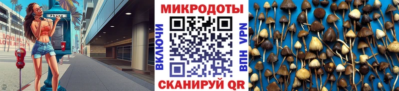 Галлюциногенные грибы GOLDEN TEACHER наркошоп Курск